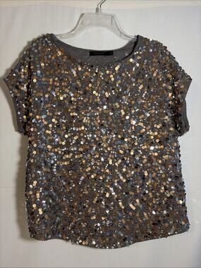 The Limited Top Sz L Grey Chiffon Sequin Silver Bronze Metallic Festive Party